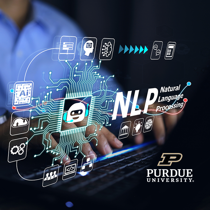 Natural Language Processing Solutions: An Intro to Evaluation & Implementation