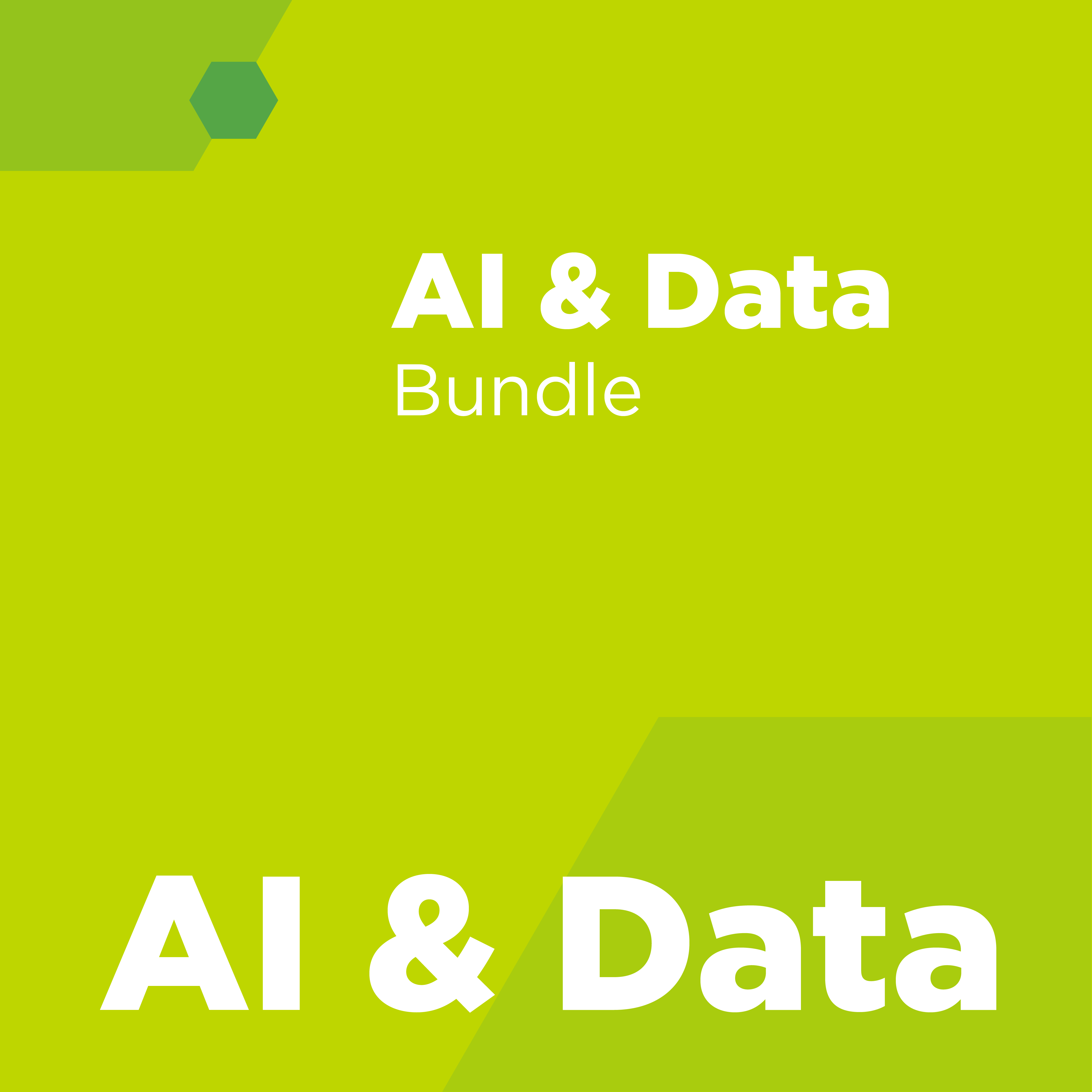 AI & Data Bundle Test - SEMI Dev 2