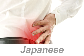 Preventing Back Injury (Japanese) 背中の怪我の防止 - SEMI Dev 2