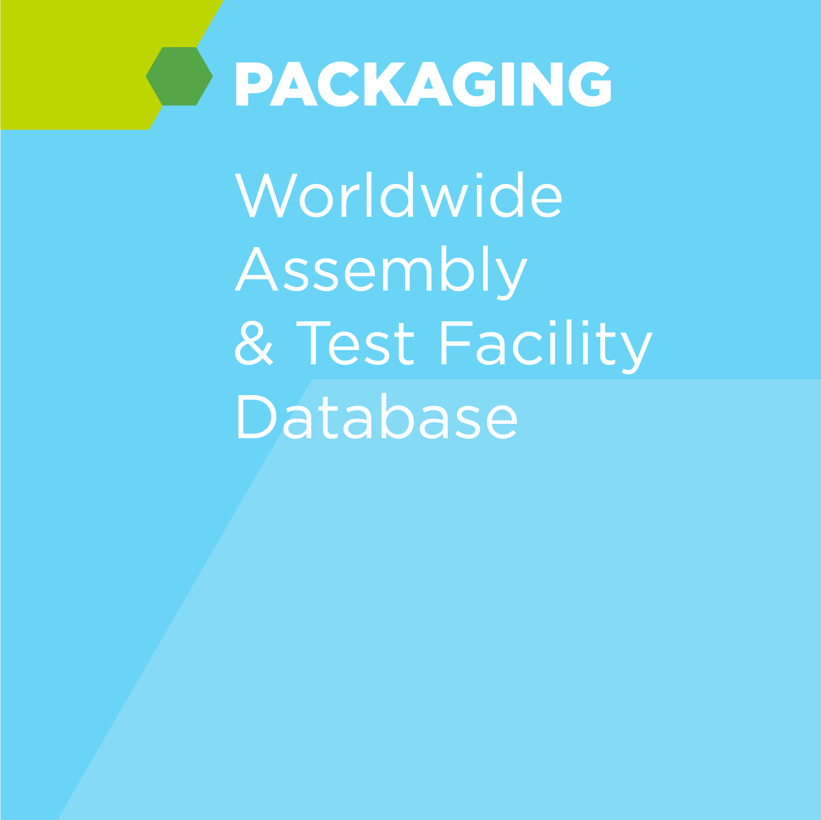 Worldwide Assembly & Test Facility Database (IDM + OSAT) - SEMI Dev 2