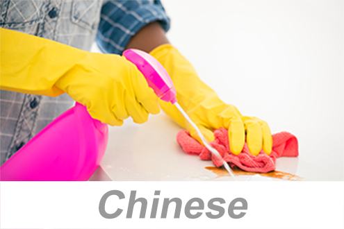 Housekeeping on the Job (Chinese) 工作中的内务管理