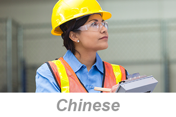 Inspections and Observations (Chinese) 检查和观察